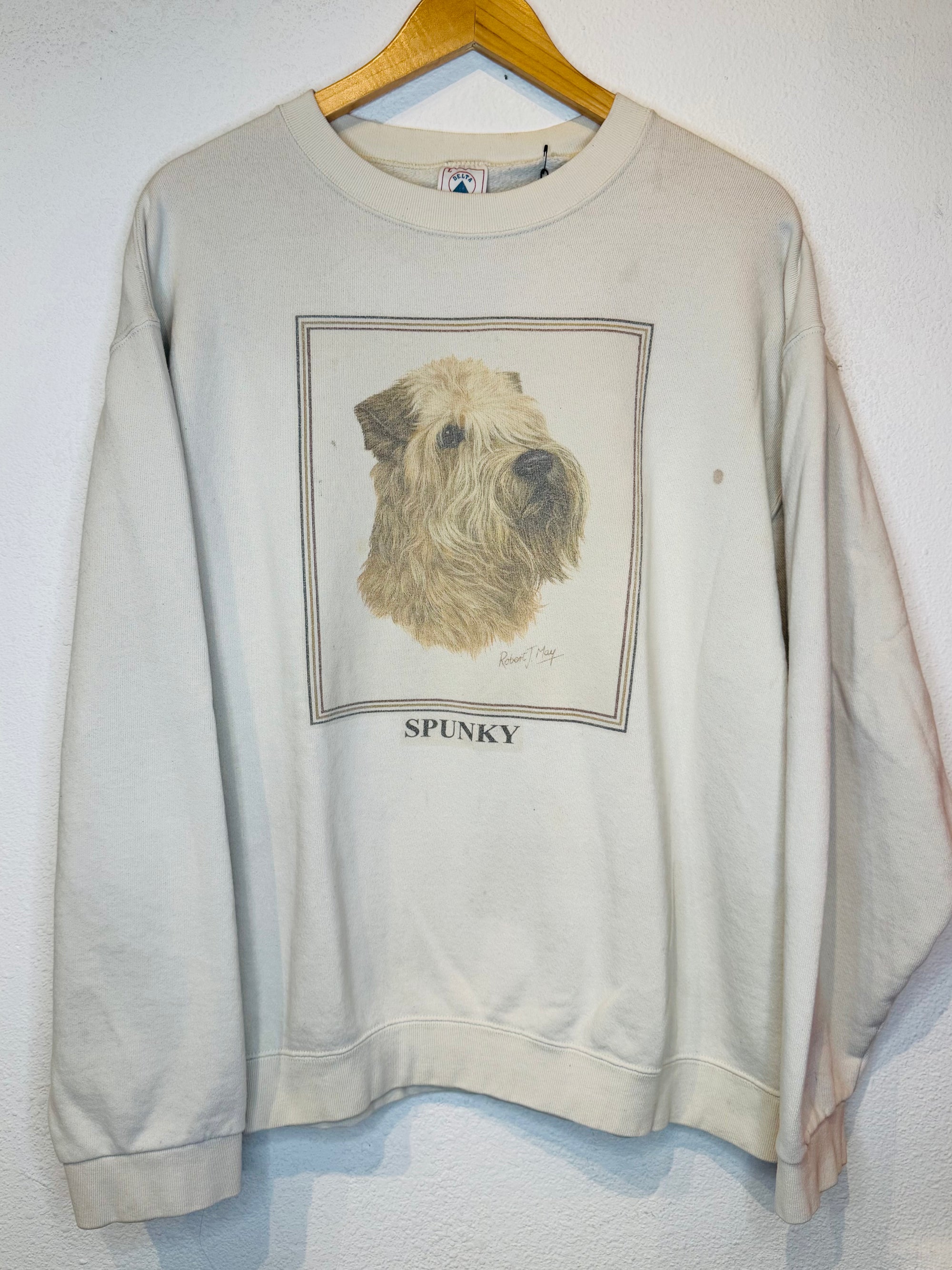 Spunky Vintage Crewneck - Burnout