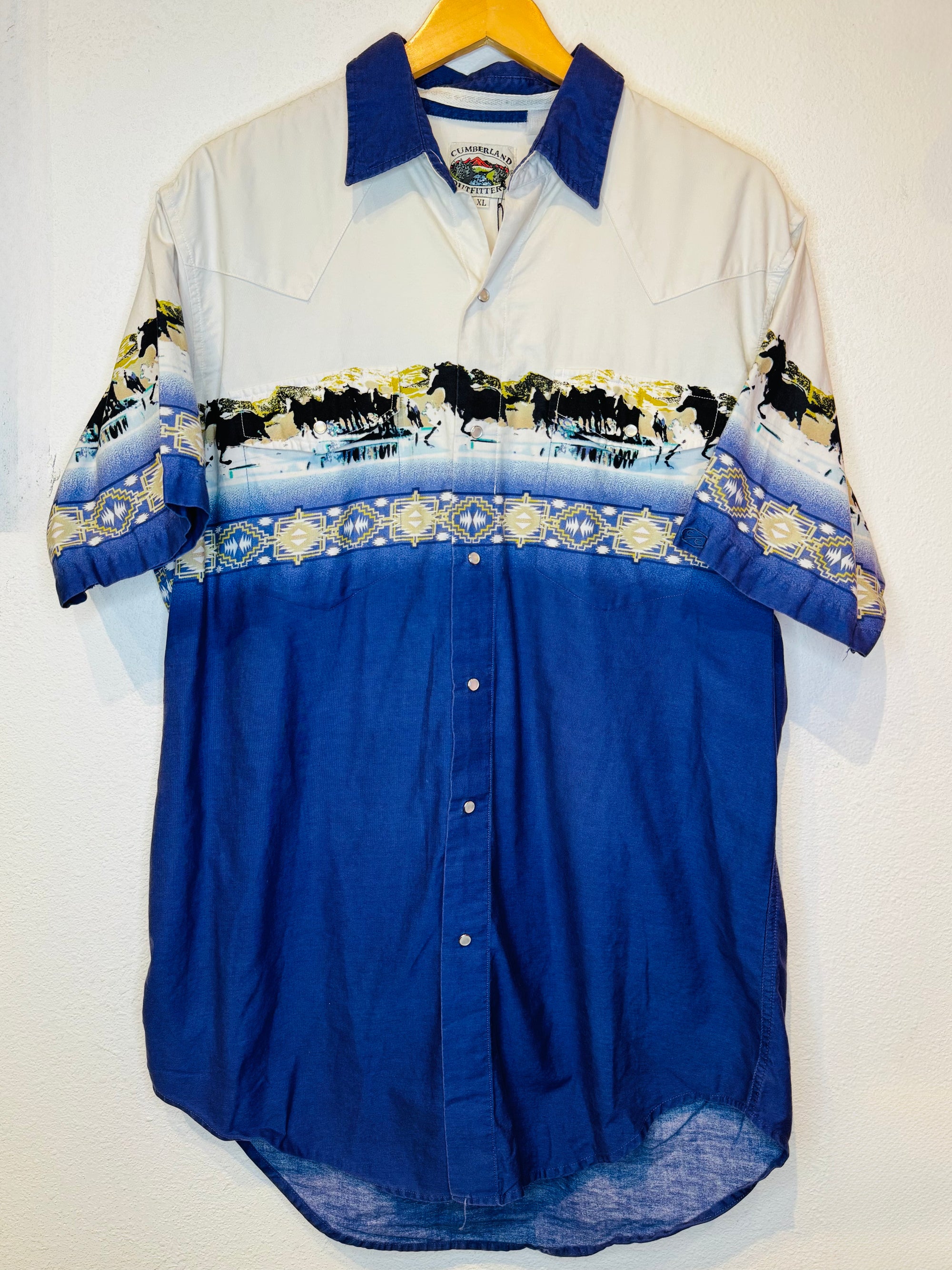 Horses Vintage Pearl Snap - Burnout