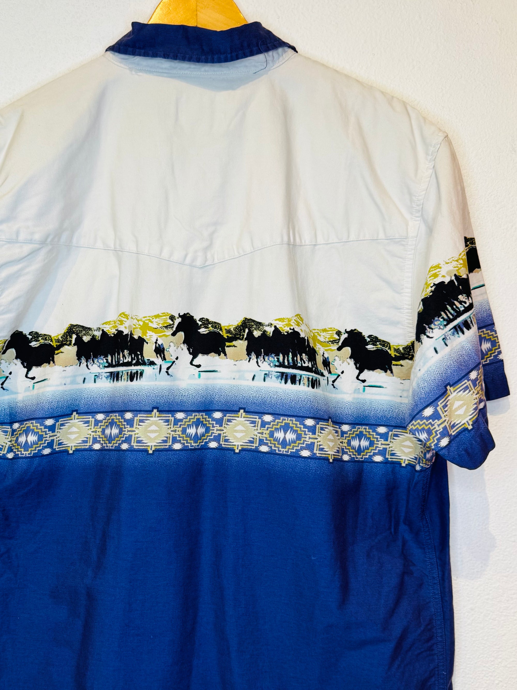 Horses Vintage Pearl Snap - Burnout