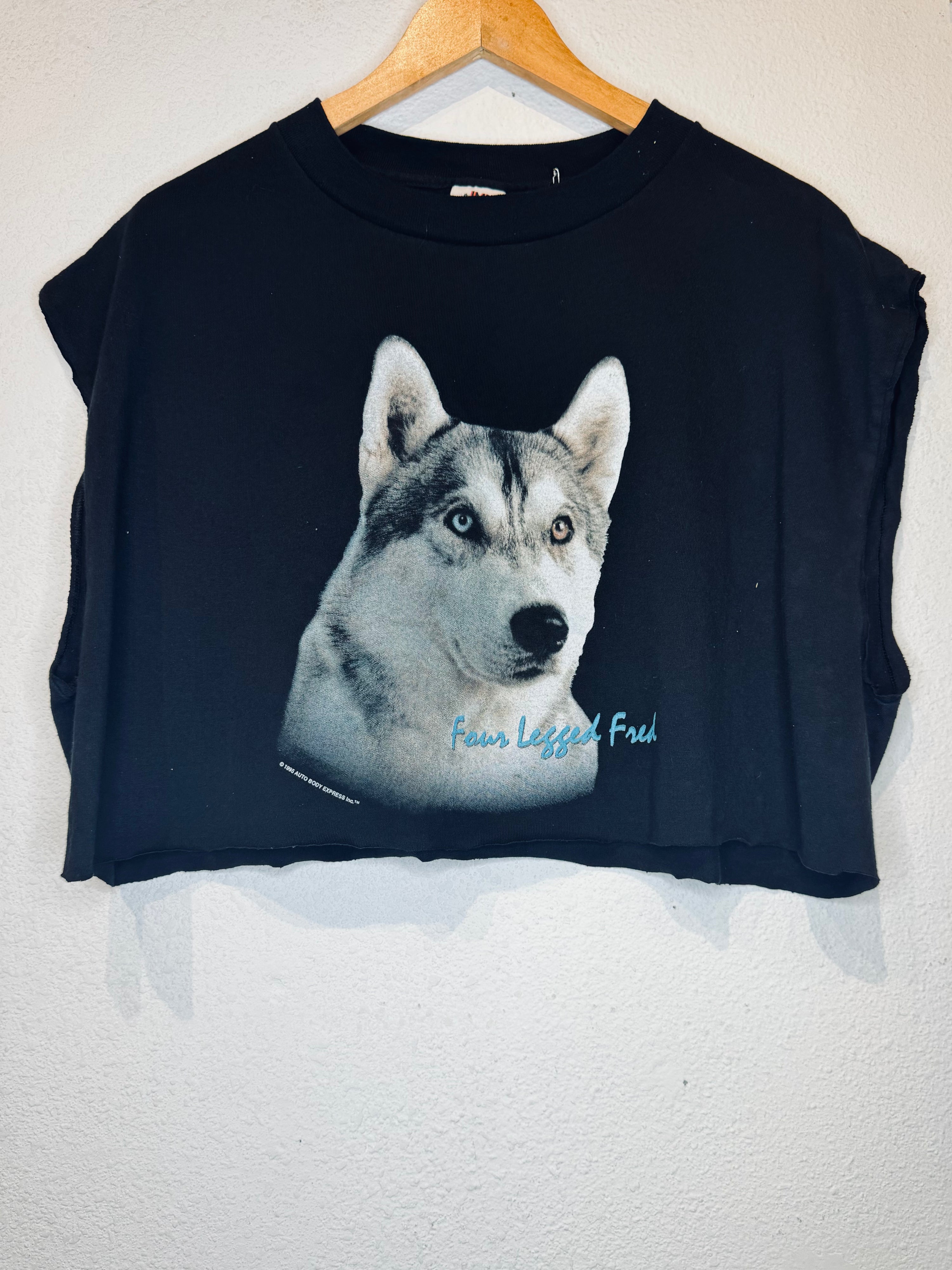Four Legged Vintage Crop Tank - Burnout