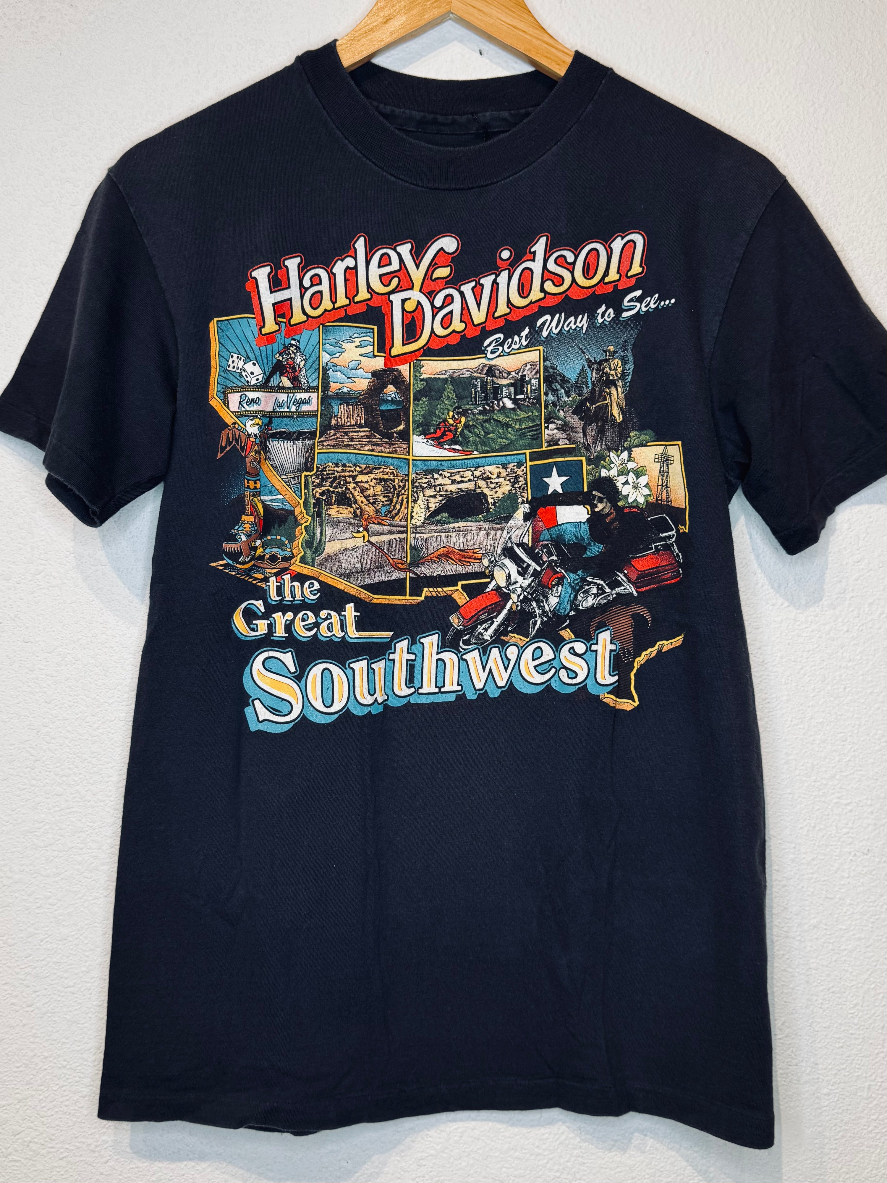 The Great Southwest Harley Vintage Tee - Burnout