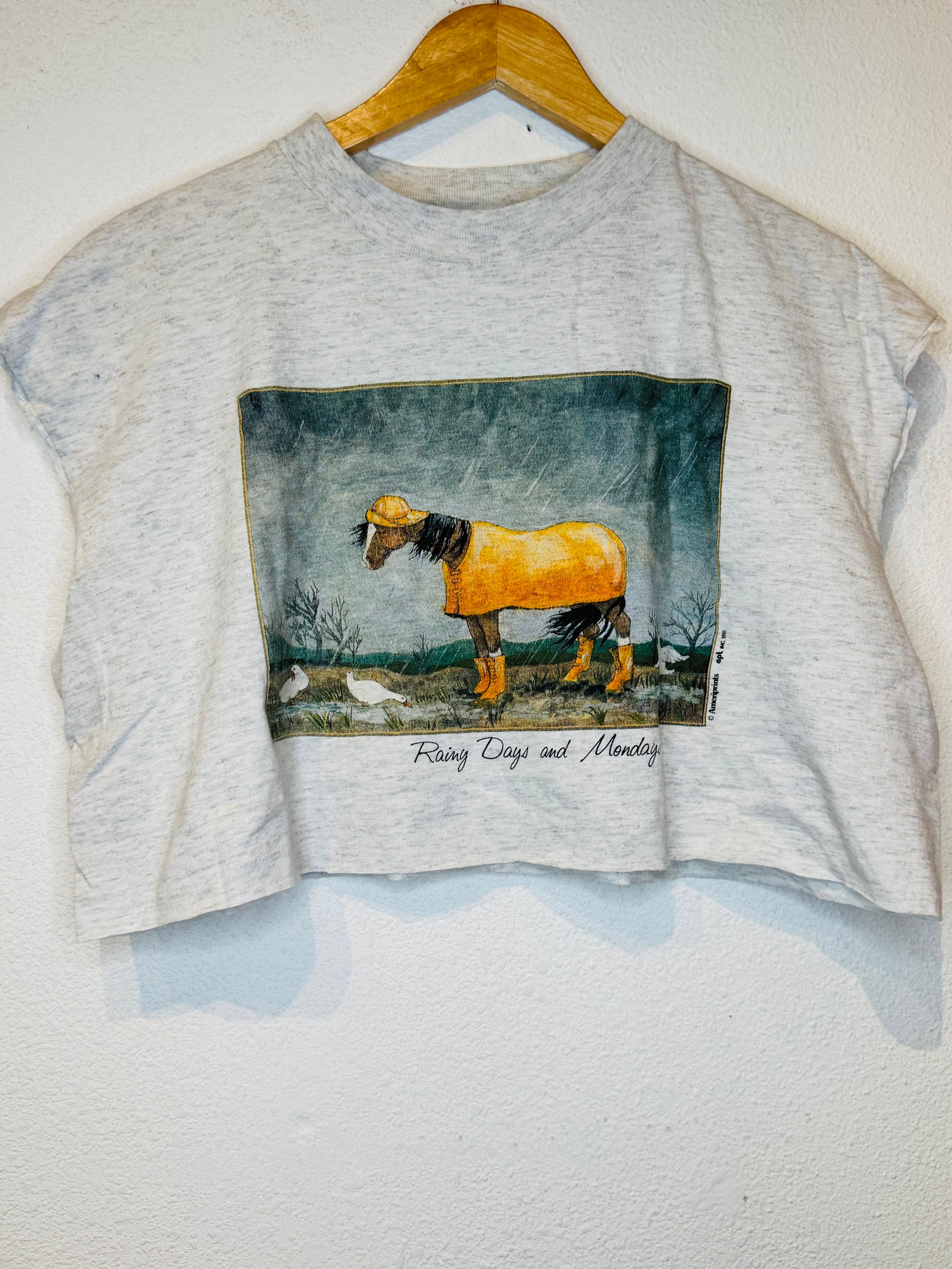 Rainy Days Vintage Crop Tank - Burnout