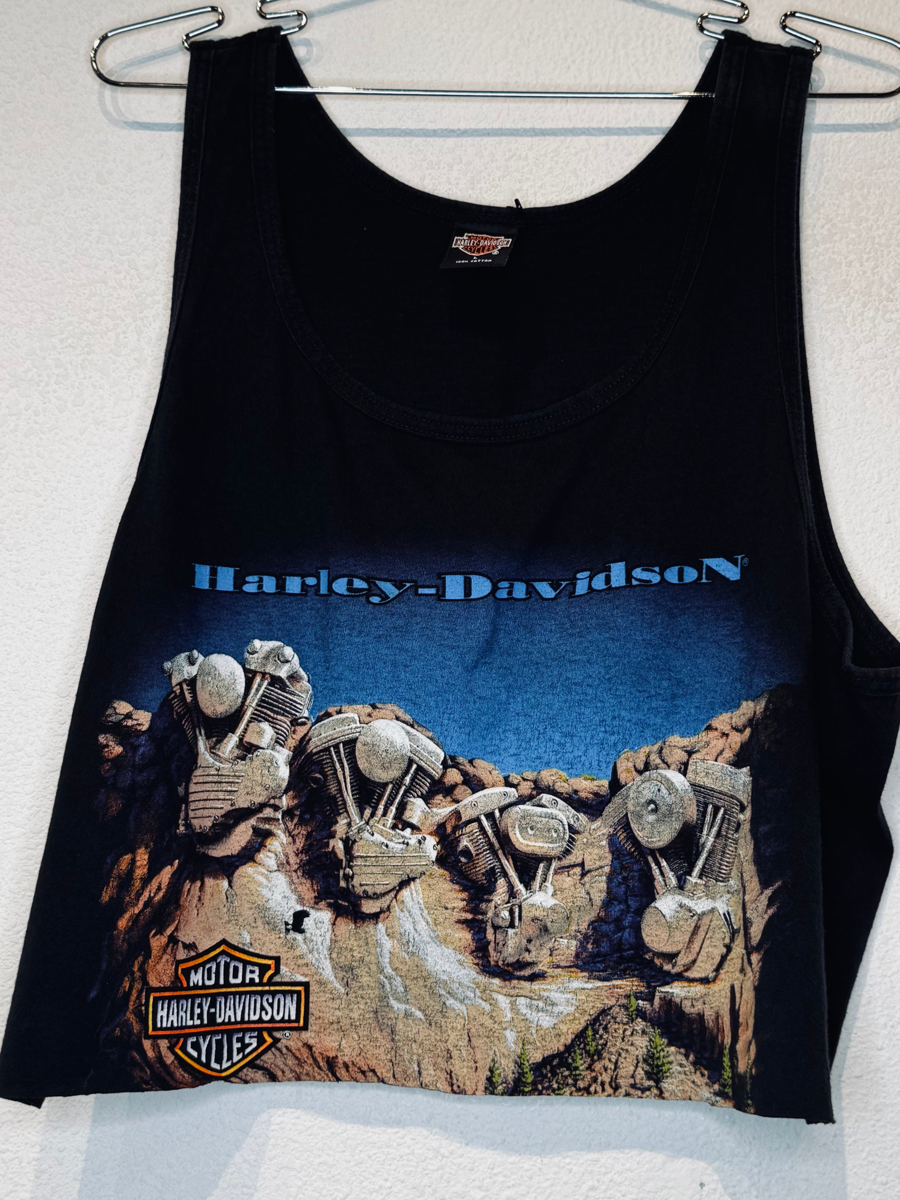 Rapid City Harley Vintage Crop Tank - Burnout