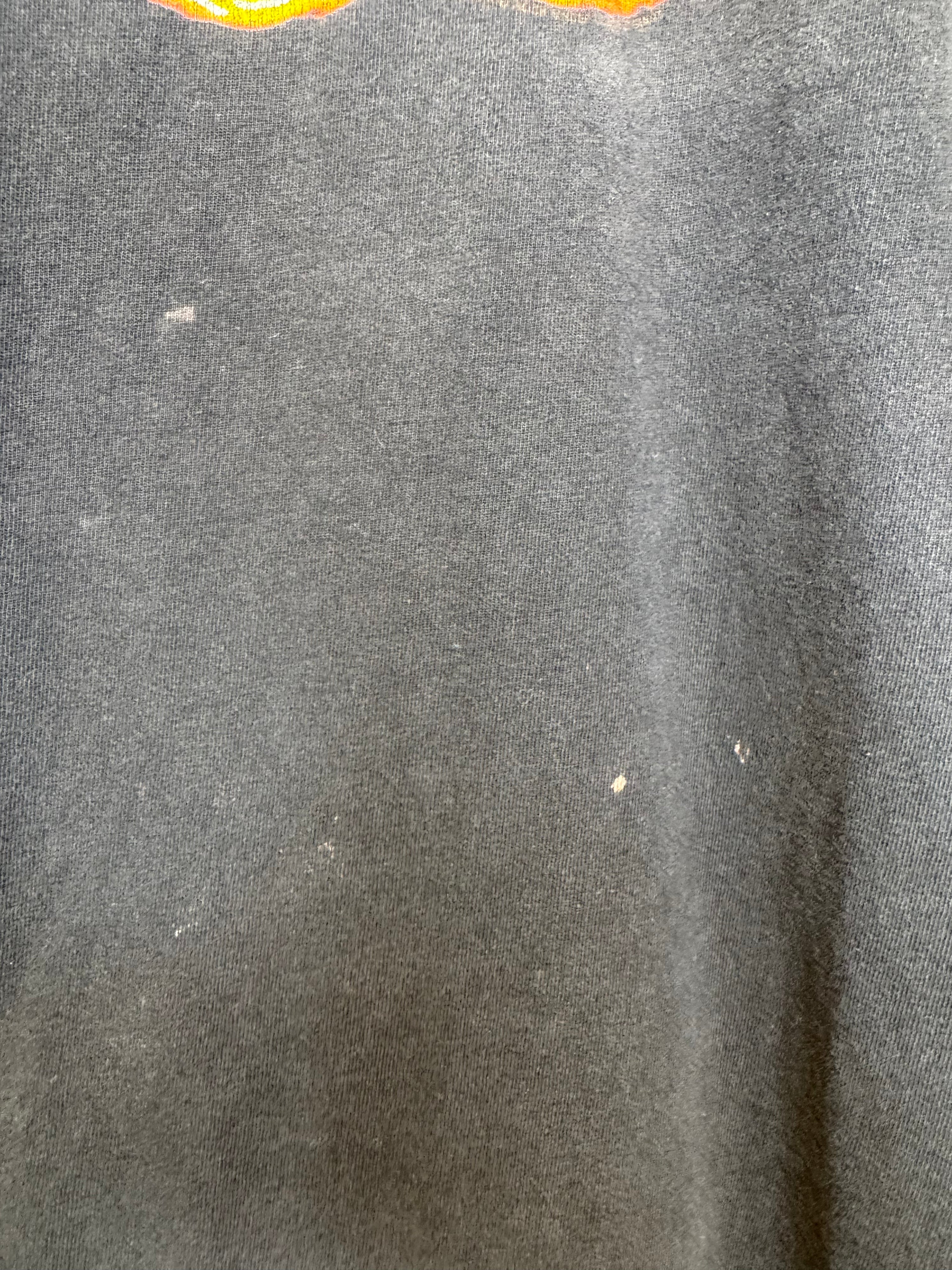 90's Kid Rock Vintage Tee - Burnout
