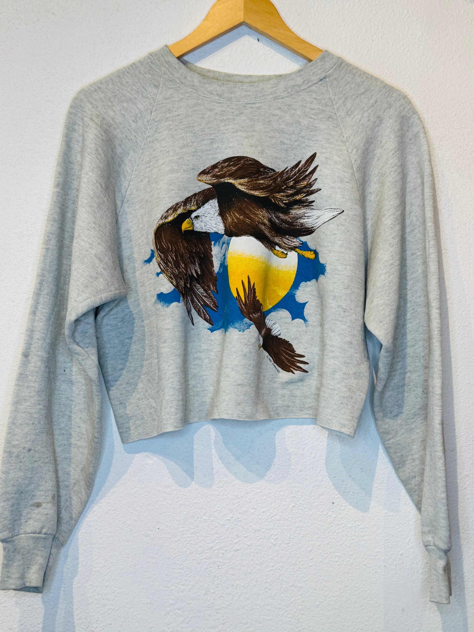 Eagles Vintage Crop Crewneck - Burnout
