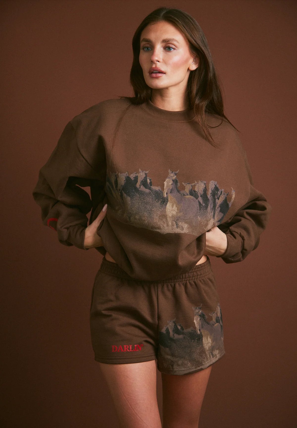 Wild Horse Crewneck - Tobacco - Burnout