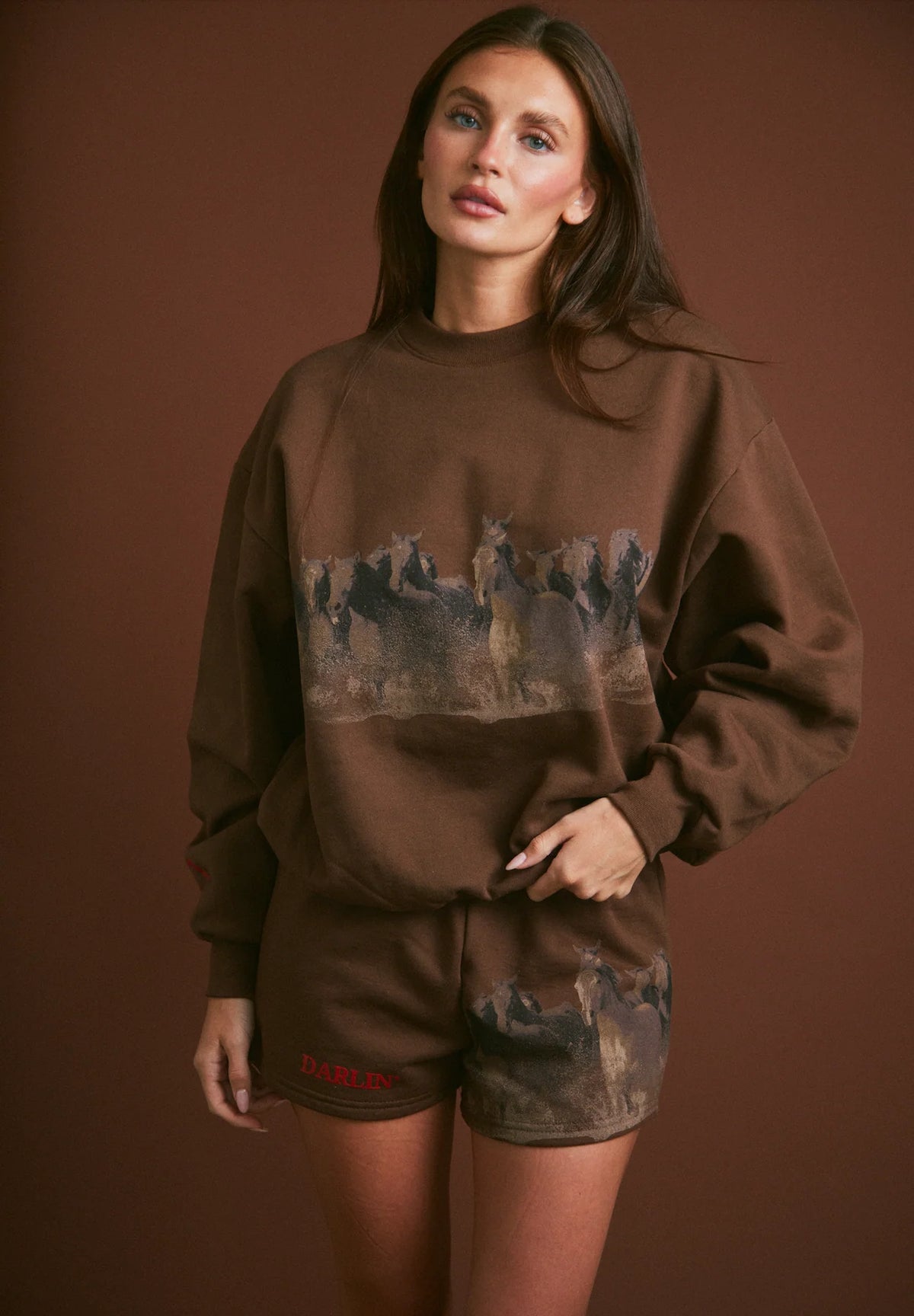 Wild Horse Crewneck - Tobacco - Burnout
